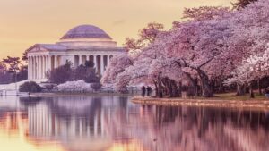 Washington, D.C. Employment Law